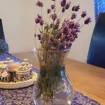 Kiscsermely Vendeghaz Ferienhaus *