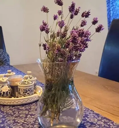 Kiscsermely Vendeghaz Tatil Evi *