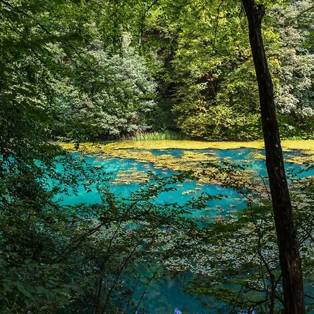 Tatil Evi Kiscsermely Vendeghaz