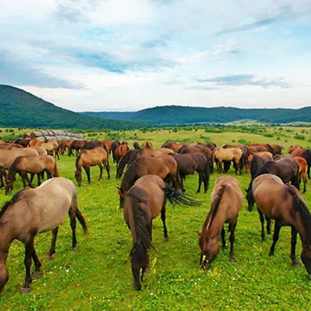 Kiscsermely Vendeghaz *