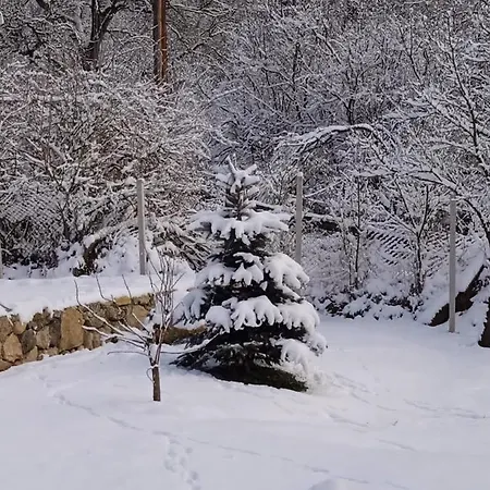 Tatil Evi Kiscsermely Vendeghaz